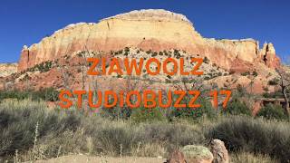 ZiaWoolz StudioBuzz 17 [upl. by Fanny]