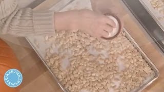 Roasted Pumpkin Seed Recipe  Martha Stewart [upl. by Ramberg]