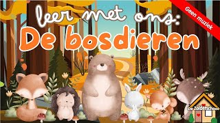 Leer met ons De bosdieren  forest animals in dutch  zonder muziek [upl. by Rosel]