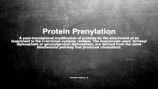 Medical vocabulary What does Protein Prenylation mean [upl. by Iruahs]