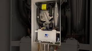 Vaillant ecoTEC pure [upl. by Cheyne]