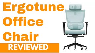 Ergotune Supreme Office Chair Reviewed [upl. by Andersen]