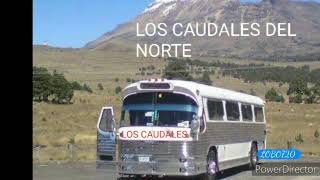 LOS CAUDALES DEL NORTE 8 EL CRIMINAL [upl. by Ellives]