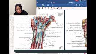 Anatomi Regio Antebrachii dan Regio Manus  Anatomi Blok 12 [upl. by Aicil]