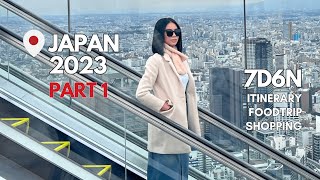 Tokyo Japan 2023 Pt1  Solo Travel  Autumn Experience Itineraries Shopping Don Quijote etc [upl. by Eimarrej]