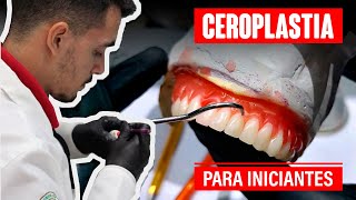 Como fazer CEROPLASTIA de uma prótese total inferior com MAIS NATURALIDADE  PARA INICIANTES [upl. by Nagyam124]