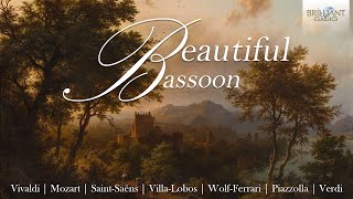 Beautiful Bassoon [upl. by Trillbee]