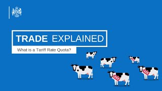 What is a Tariff Rate Quota [upl. by Graybill281]