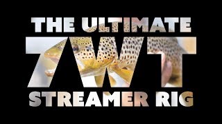 The Ultimate 7wt Fly Fishing Streamer Rig [upl. by Arec]