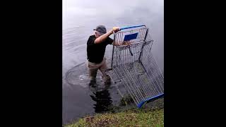 Pulling Out Walmart Cart Out of the Pond in Bubbles Trailer Park Boys Fashion duckpond babyduck [upl. by Akemihs]