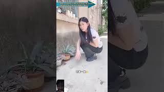 Kutte ne chor koi achcha sabak sikhaya dog pets doglover youtubeshorts [upl. by Leunad684]