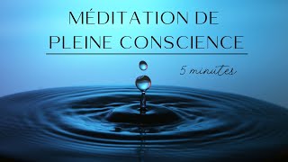 Méditation de Pleine Conscience courte  5 minutes pour sancrer dans le moment présent français [upl. by Oflodor]