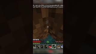 Skeleton face pa aa gaya tha 😱minecraft shortsfeed [upl. by Einnaffit]