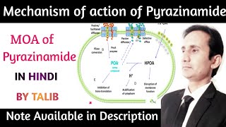 Mechanism of Action of Pyrazinamide In Hindi  Mechanism of Action of Antitubercular Drugs [upl. by Ilke563]