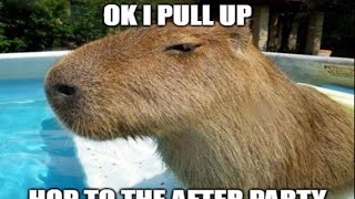 TPLL CAPYBARAS REQUIEM by razaplays Updated [upl. by Ares]