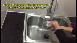 Proper HandWashing Video Presentation [upl. by Anitsud381]