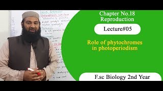 Biology Ch18Lecture05 Role of phytochromes in photoperiodism FSc 2nd Year [upl. by Gans412]