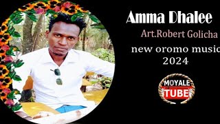 Art Robert Golicha quotAmma Dhaleequot New Oromo Music 2024 [upl. by Grose]