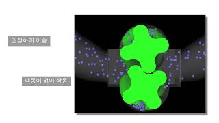 로터리 로브 펌프Rotary lobe pump VX136 작동원리 [upl. by Annor]