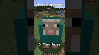 All Minecraft Java Sheep Have White Faces [upl. by Adnuhs]