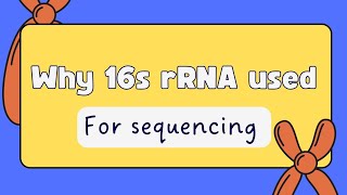 why 16s r RNA might be used in sequencing as a molecular marker [upl. by Leacim]