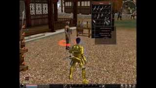 Metin2 PVP Românesc 2013NEW [upl. by Arianna]