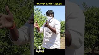 రాయలసీమకు నీరు అందిస్తే అద్భుతాలు చేస్తాం  Water Crisis in Rayalaseema  Karshaka Mitra shorts [upl. by Ecirehs]