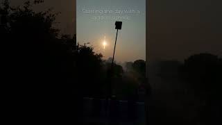 Starting the day with a golden sunrise ytshorts viralvideo shortfeed viewpoint sunrise quotes [upl. by Ynoep]