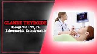 la Glande Thyroïde Explorations Dosage des Hormones Echographie  Endocrinologie Medicale [upl. by Yvehc]