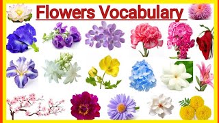 Flowers Name  Flowers Name with pictures  Flowers vocabulary [upl. by Eilah883]