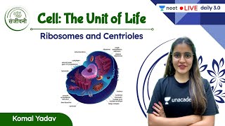 Cell The Unit of Life  Ribosomes and Centrioles  L6  NEET  NEET 202223  Komal Yadav [upl. by Ayoj292]