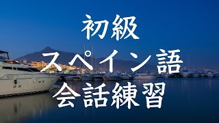 初級スペイン語会話トレーニング200  基本フレーズ聞き流し [upl. by Rochester]