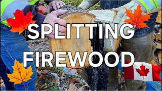 BIG FIREWOOD LITTLE SPLITTER [upl. by Rhoads847]