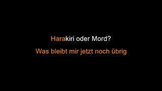 die ärzte  Quark Karaoke [upl. by Uaeb]