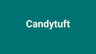 Candytuft Meaning and Pronunciation [upl. by Nylirek496]