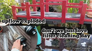 filters cleaning day and the upflow exploded koipond koi backyard koi pond fish diy [upl. by Cleve]