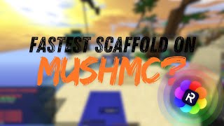 FASTEST SCAFFOLD ON MUSHMC  Rise 6130 [upl. by Eluk612]