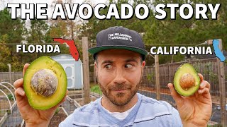 The Incredible TRUE STORY Of The Avocado [upl. by Eramal]