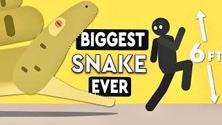 Whats The Largest Snake To Ever Exist DEBUNKED [upl. by Nagaet]