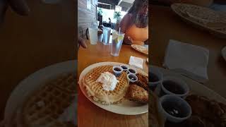 roscoes chicken amp waffles 🧇 Overated [upl. by Thomasin399]