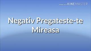 Negativ Pregatestete Mireasa [upl. by Carlynn]