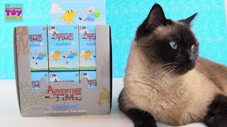 Adventure Time Fresh 2 Death Kidrobot Vinyl Figure Unboxing  PSToyReviews [upl. by Eipper]