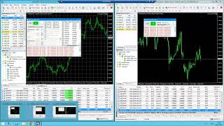 How to copy trade on MetaTrader 4 and 5 [upl. by Jorin487]