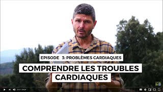 Problèmes cardiaques n°3  Comprendre les troubles cardiaques [upl. by Mauricio255]