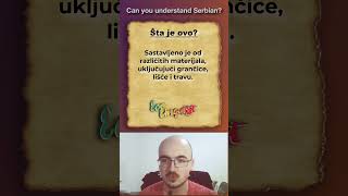 Can you understand Serbian  Short 1 languagechallenge [upl. by Fulcher]