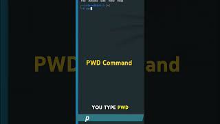 How to Use PWD Command  Linux Terminal Tutorial  Cybersecurity Essentials  Kali Linux [upl. by Charlotta]