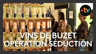 Opération séduction pour sauver les vins de Buzet [upl. by Enileda93]