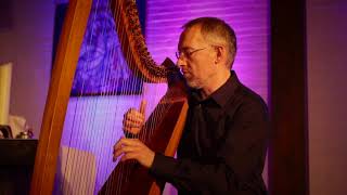 An Dro Improvisation on Celtic Harp live in Hamburg [upl. by Anirtap157]