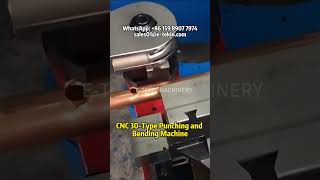 30Type CNC Punching and Bending Machine for Brass Pipes [upl. by Einalam575]