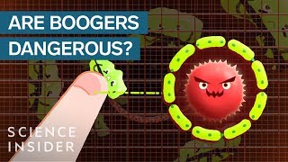 Is Eating Boogers Actually Unhealthy [upl. by Atinomar]